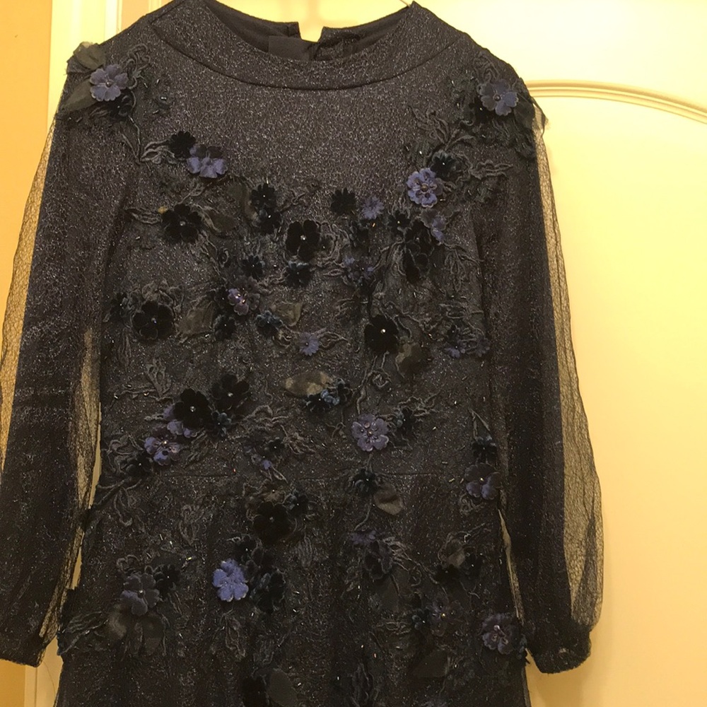 Teri Jon formal gown - Picture 6 of 6